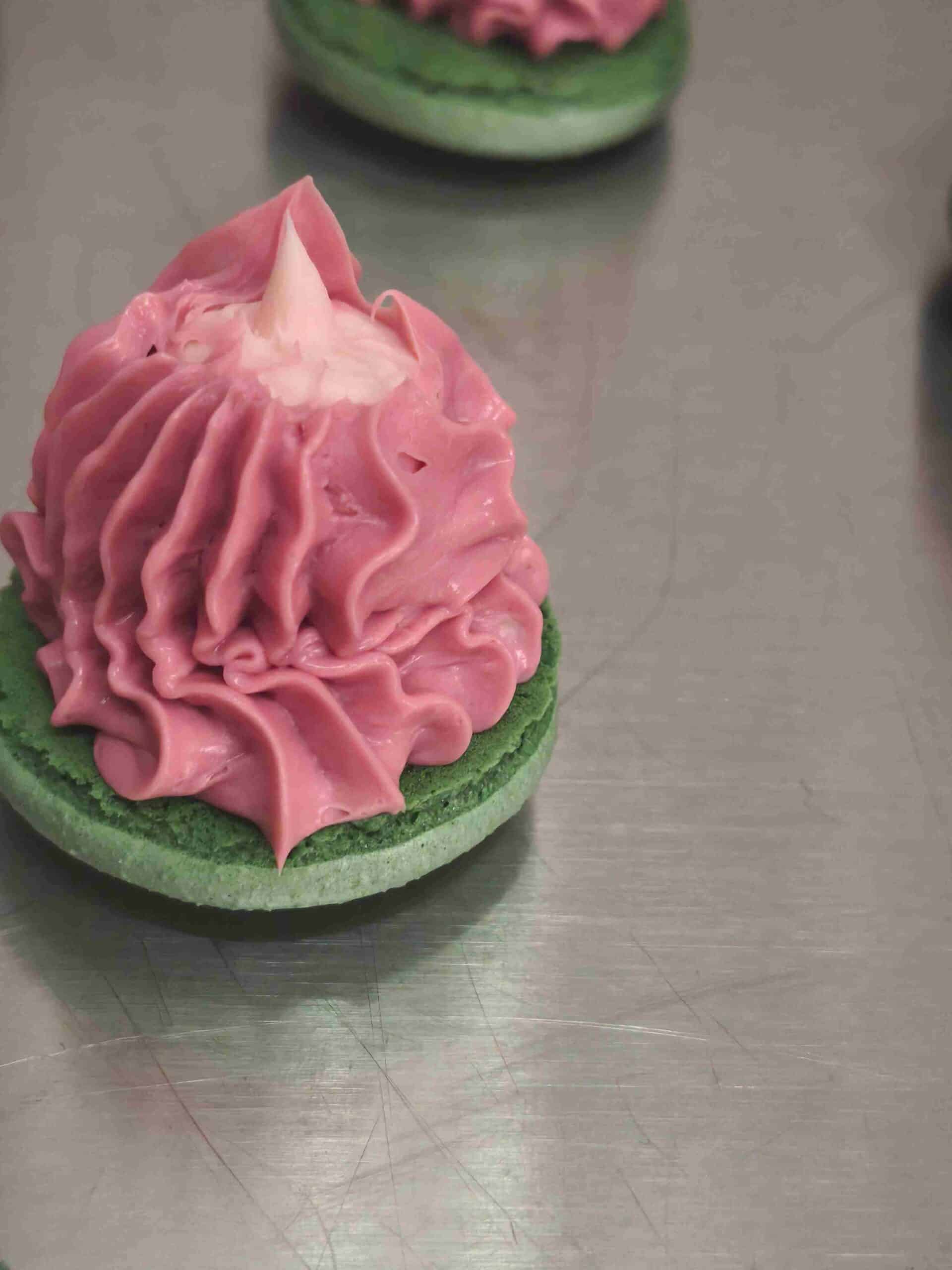 IMG_20241129_104011_11zon